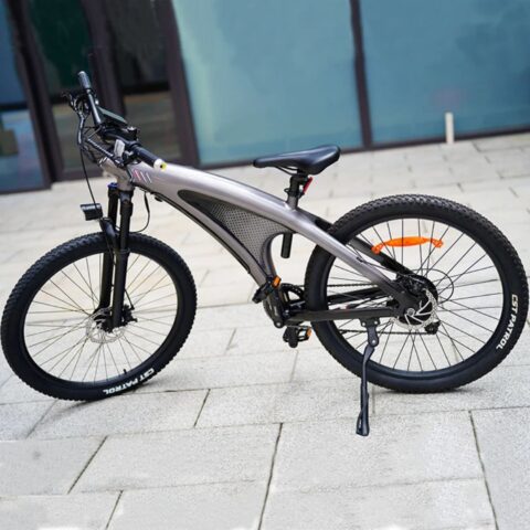 Vélo Électrique Tout-Terrain